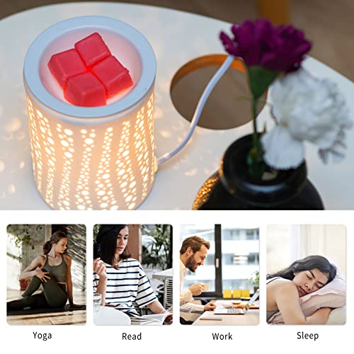 Wax Melt Warmer 2 Bulbs Included Gift Box Packaged